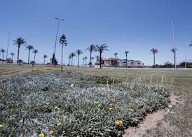 Apartamentos H3 Laguna-Playa 4