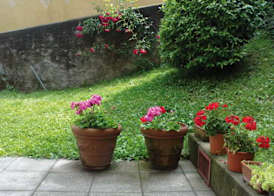 Cernobbio Residence 4