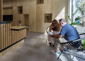 Urban Cube Hostel Sevilla 3