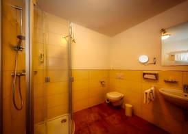 Hotel Linde Pfalz 5