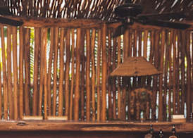 Encantada Tulum 2