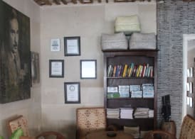 Scallywags Resort 5