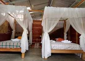 Iguanitas Lodge 5