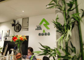 Rain Forest Hotel 2