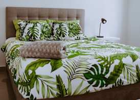 The Palm Leaf Apartments 3