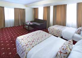 Ani Plaza Hotel 5