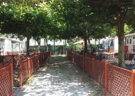 Villaggio Camping Maratea 3