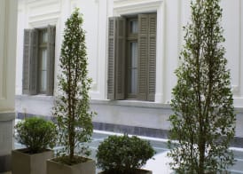 Esplendor by Wyndham Savoy Rosario 5