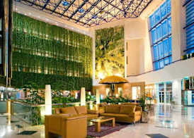 Oryx Grand Jebel Hafeet Hotel 5