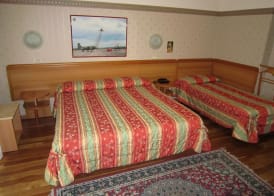 Hotel San Francisco Spiaggia 3