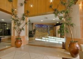 Hotel Alif Campo Pequeno 2
