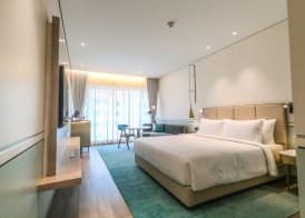 Radisson Blu Mumbai International Airport 5