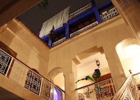 Riad Alamine 3