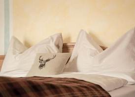 Albergo Centrale 4