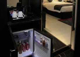 Radisson Blu Hotel New Delhi Paschim Vihar 5