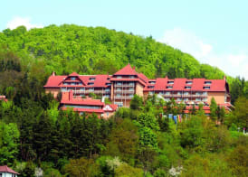 Göbels Hotel Rodenberg 3