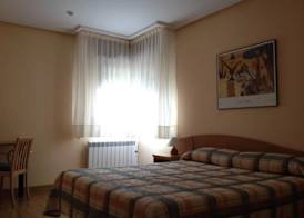 Apartamentos Turisticos Puerta de León 4