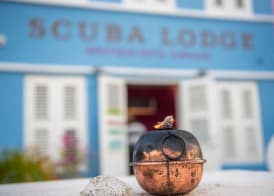 Scuba Lodge City Beach 2