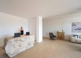 Muse οf Mykonos Luxury Suites 2