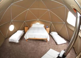 Durrell Wildlife Camp 5