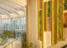 TUI MAGIC LIFE Africana 2