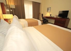 Holiday Inn LEON by IHG 4