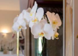 Hotel Mon Repos 4