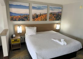 Days Inn & Suites by Wyndham Tuscaloosa - Univ. of Alabama 5