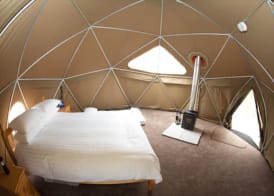 Durrell Wildlife Camp 4