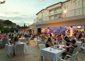 Catty Cats Garden Hotel 5