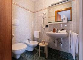 Berg Hotel Latemar Spitze 4