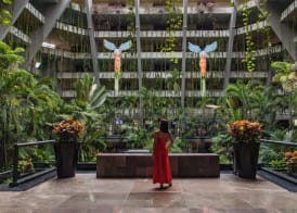 The Grand Oasis Cancun - All Inclusive 2
