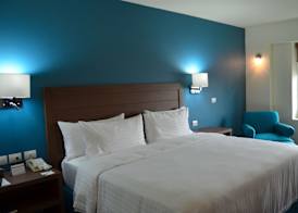 Holiday Inn GUADALAJARA EXPO by IHG 4