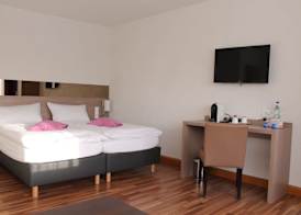 RheinHotel ARTE 4