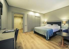 Hotel Carlton Rioja 4
