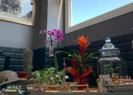 Hotel Le Cosy Riva Bella 4