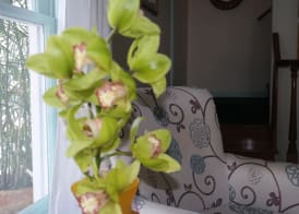 The Independent Inn - Locally Owned 4