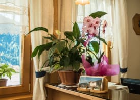 Hotel Garnì Sant'Antonio con Spa 2