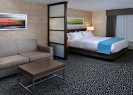 Holiday Inn & Suites EDMONTON ARPT - CONFERENCE CTR by IHG 3