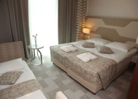 Hotel Terme - Terme Čatež 5