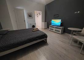 Tudor Apartment Universitate 4