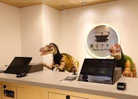 Henn na Hotel Kanazawa Korimbo 5