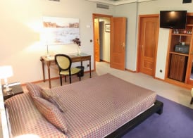Hotel Ciudad de Vigo 5