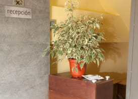 Hotel Cuéntame 3