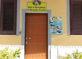 Domo - Guest-House Il Nespolo Fiorito 2