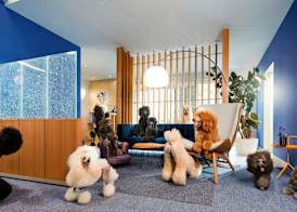 Kristallhotel Fettehenne 5