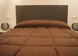 Apartamentos Borruscall 2