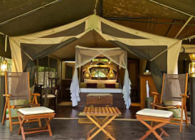 Mara Intrepids Tented Camp 5