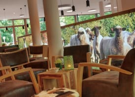 Nells Park Hotel 3