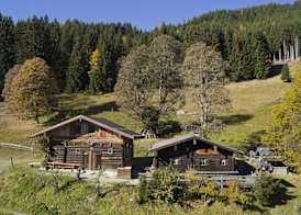 Hotel Alpenwelt Superior 3
